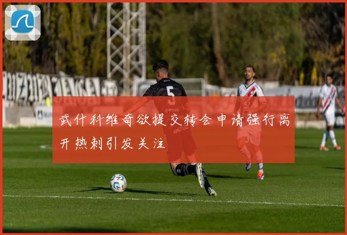 武什科维奇欲提交转会申请强行离开热刺引发关注