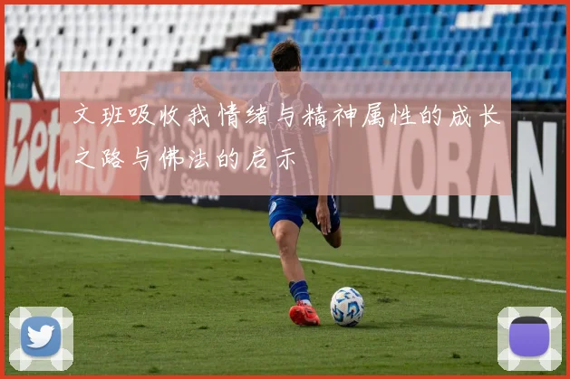 文班吸收我情绪与精神属性的成长之路与佛法的启示